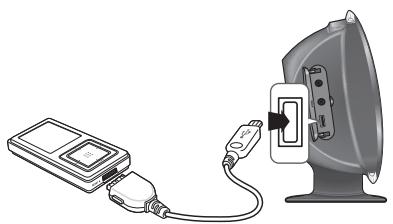 SAMSUNG HT-X620T/XE - LECTURE DE FICHIERS MULTIMÉDIA À L'AIDE DE LA FONCTION USB HOST (HOTE USB) - 1