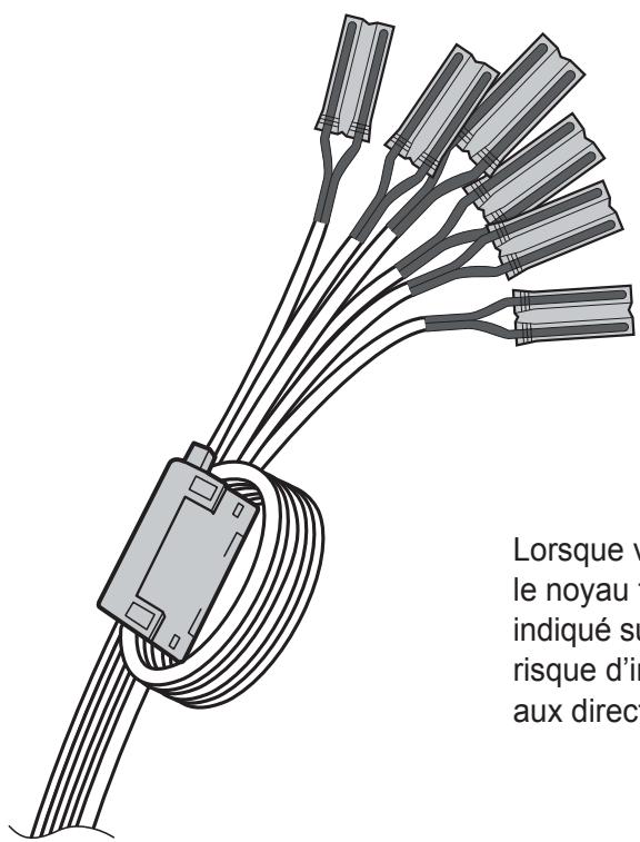 SAMSUNG HT-X620T/XE - Avant d'utiliser les câbles des enceintes - 4