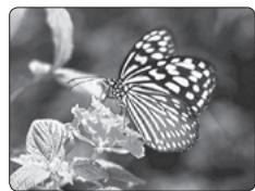 SAMSUNG HT-X620T/XE - Fonction Rotation/Retournement - 3