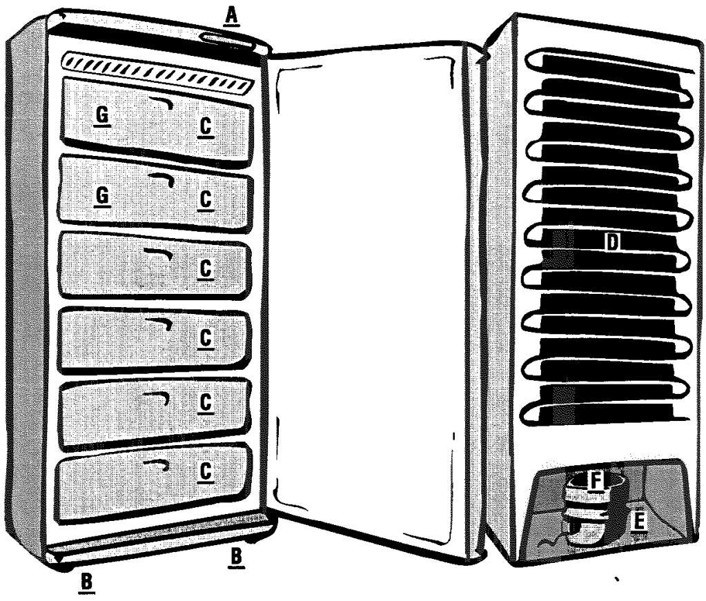 THOMSON AVF26 - Description - 1