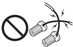 ONKYO A-5VL - Danger - 1