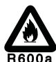 DAEWOO FN-650NWS - Avertissement relatif à la sécurité (modèles R-600a uniquement) - 1