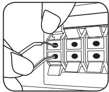 LG HX46R - Raccordement des enceintes au lecteur - 1