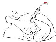 KITCHENAID FOURKOQCX45600 - POULET - 1