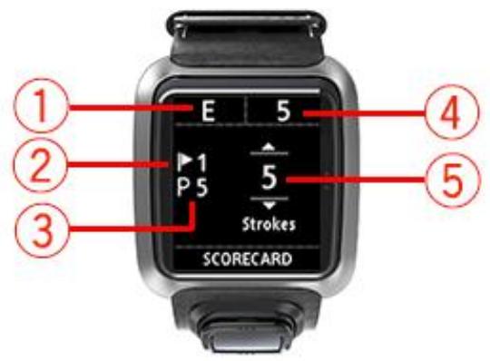 TOMTOM GOLFER BLEU - Suivre les scores à l'aide de votre montre - 1
