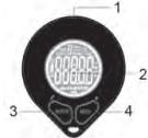 OKOIA TRACK1 - DESCRIPTION - 1