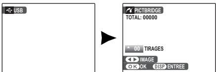 FUJIFILM FINEPIX A 180 - Raccordement de l'appareil photo - 2