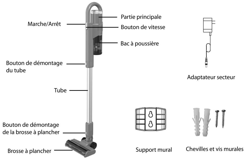 TECNO LECTVCH150 - FR - 1