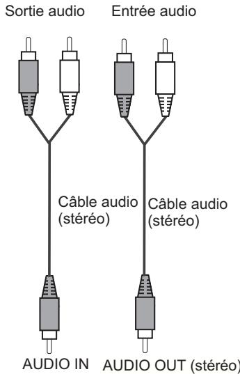 SANYO PLC-XR201 - Câbles utilisés pour le branchement - 6
