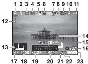 PENTAX K-S1BLEUJEAN - Live View - 1