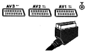 THOMSON 29 DF 45 EG - Autres raccordements - 1