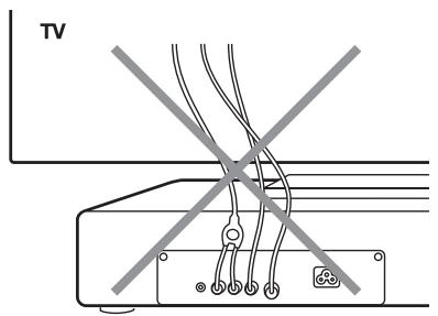 GENEVA CINEMA BLANC - Avertissement - 1