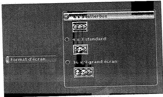 THOMSON DTH8043 - Format d'écran - (DVD / VCD) - 1