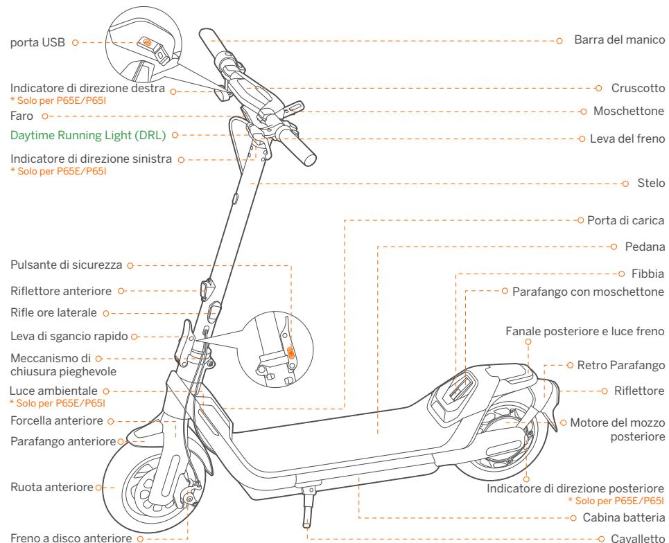DARRY SEGWAYTROTTINETTEP65EE - Diagramma e funzioni - 1
