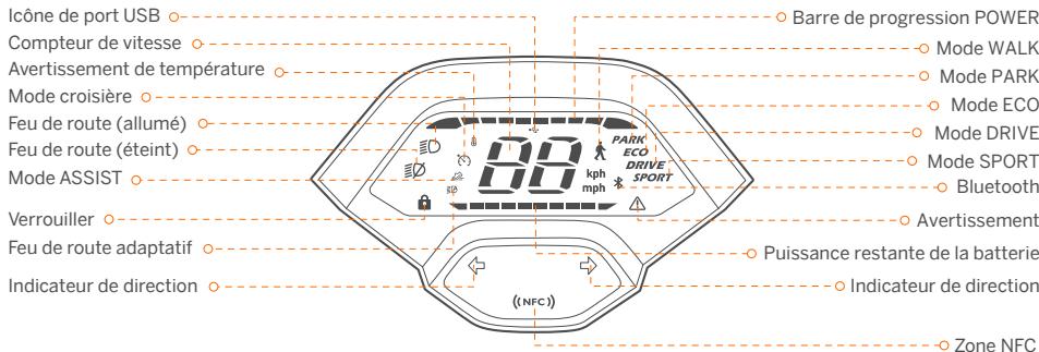 DARRY SEGWAYTROTTINETTEP65EE - Tableau de bord - 1