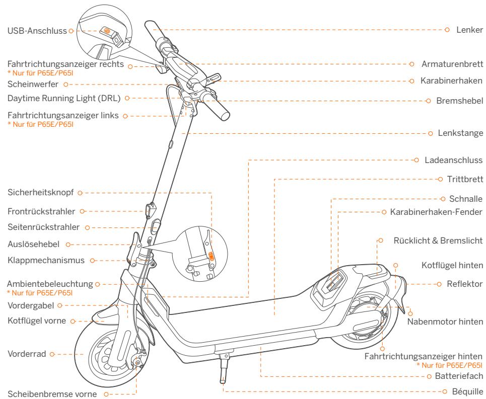 DARRY SEGWAYTROTTINETTEP65EE - Diagramm und Funktionen - 1