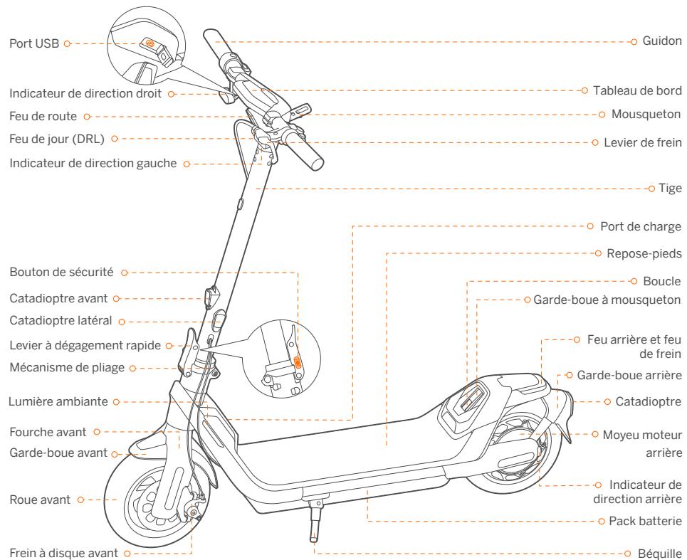 DARRY SEGWAYTROTTINETTEP65EE - Diagramme et fonctions - 1