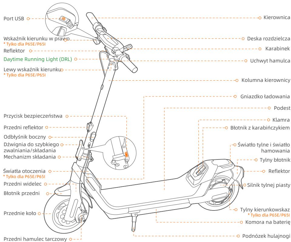 DARRY SEGWAYTROTTINETTEP65EE - Schemati funkcje - 1