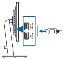 ASUS PA278CV - Branchement des câbles - 2