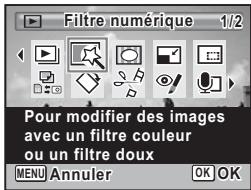 PENTAX OPTIO W80 - Utilisation des filtres numériques - 2