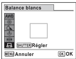 PENTAX OPTIO W80 - Pointez l'appareil vers la feuille de papier blanc (ou autre support) et faites en sorte que celle-ci occupe la mire qui apparait au centre de I'écran. - 1