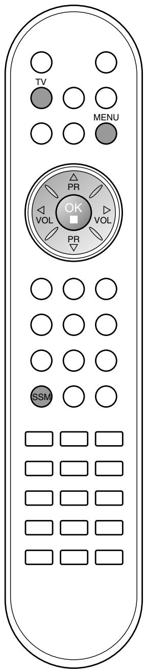 LG-GOLDSTAR 20 LC 1 RB - Réglage du son - 2