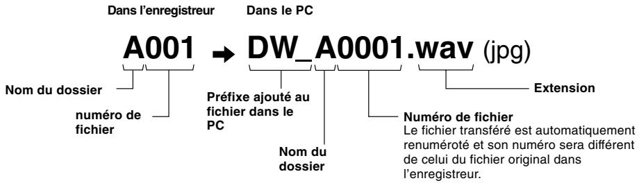 OLYMPUS W-10 - Format des fichiers - 1