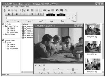 OLYMPUS W-10 - Utilisation du logiciel OLYMPUS Voice Album - 1