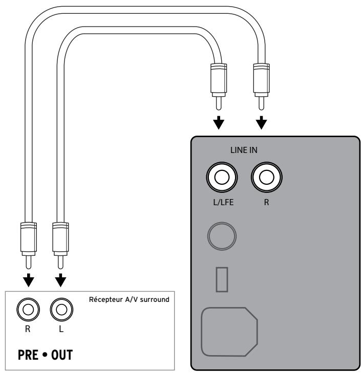 RLIPSCH R-110SW - BRANCHEMENTS ET RÉGLAGES - 1