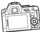 PENTAX R70 - Exemples de niveau électronique dans le viseur - 3