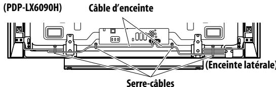 PIONEER PDP-LX6090H - Cheminement des câbles - 1