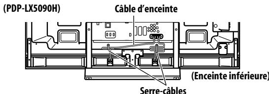 PIONEER PDP-LX6090H - Cheminement des câbles - 4