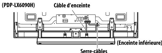 PIONEER PDP-LX6090H - Cheminement des câbles - 3
