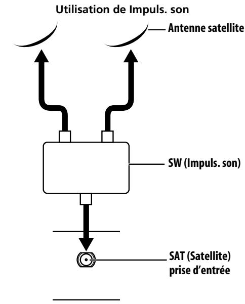 PIONEER PDP-LX6090H - Connexion de l'antenne satellite - 2