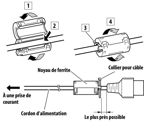PIONEER PDP-LX6090H - Fixation du noyau de ferrite - 1