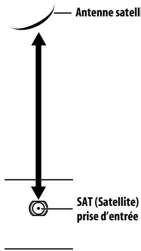 PIONEER PDP-LX6090H - Connexion de l'antenne satellite - 1