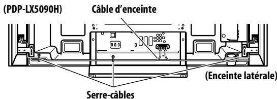 PIONEER PDP-LX6090H - Cheminement des câbles - 2