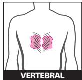 SPORT ELEC SUDOLORI - L'APPAREIL - 6