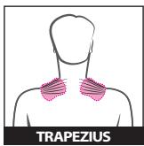 SPORT ELEC SUDOLORI - L'APPAREIL - 4