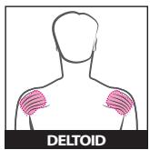 SPORT ELEC SUDOLORI - L'APPAREIL - 5