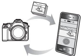 NIKON D7200 18-105MM VR - Possibilities offertes par le Wi-Fi - 1