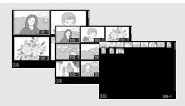 NIKON D7200 18-105MM VR - Visualisation par planche d'imagettes - 2