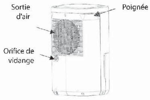 PROLINE DRY12ELEC - DESCRIPTION - 2