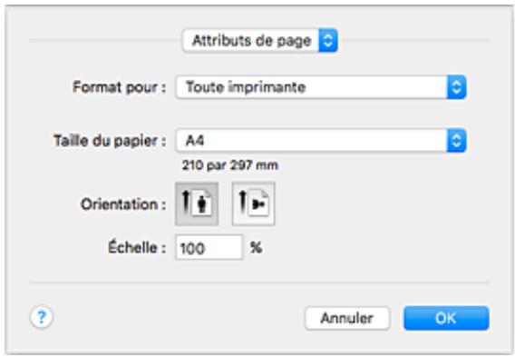 CANON TS8053 - Boîte de dialogue Configuration de la page - 1
