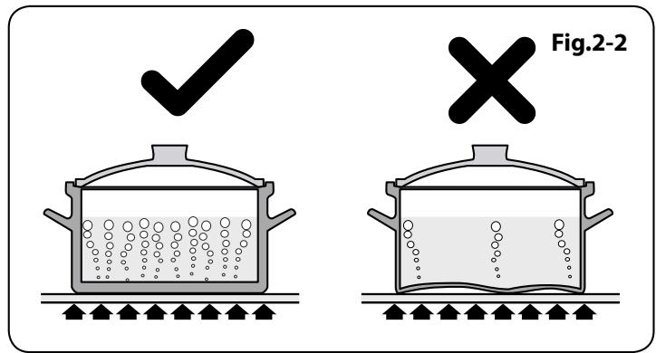 FALCON ELAS110EIBL/-EU NOIR - Table de cuisson - 1