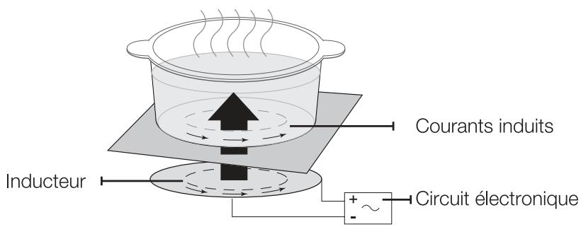 SAMSUNG NZ64F3NM1BB - Chauffage à induction - 1