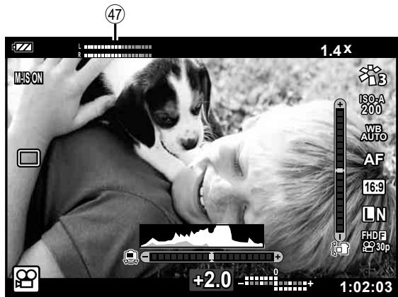 OLYMPUS TG-6 - Affichage d'informations pendant la prise de vue - 2