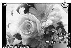 OLYMPUS TG-6 - Remarques - 2
