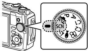 OLYMPUS TG-6 - Réglages adaptés à la scène (mode SCN) - 1