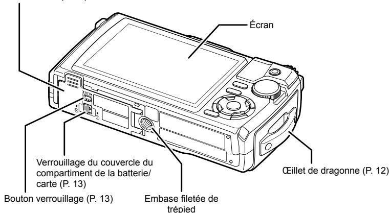 OLYMPUS TG-6 - Prise de vue - 5